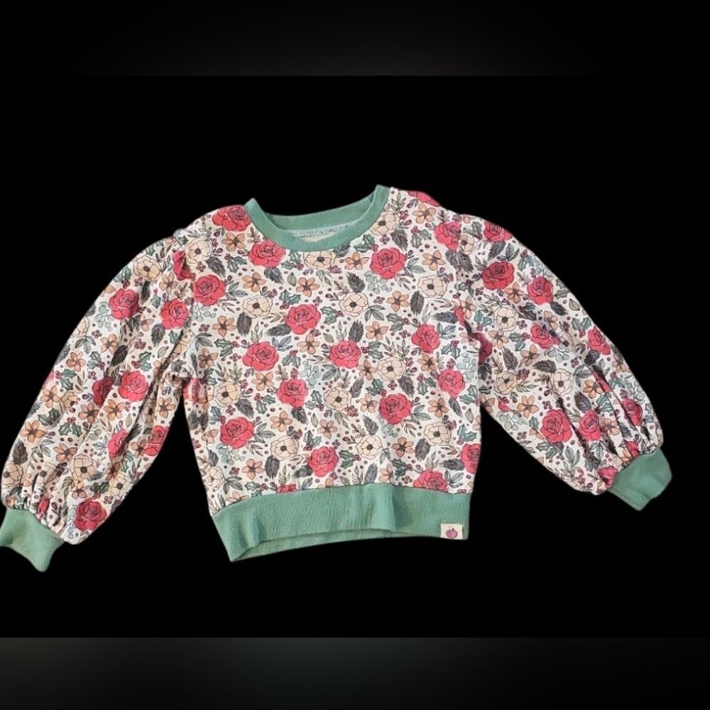 Girls Christmas/holiday cheeky plum Red Rose Floral Top with Green Trim,
